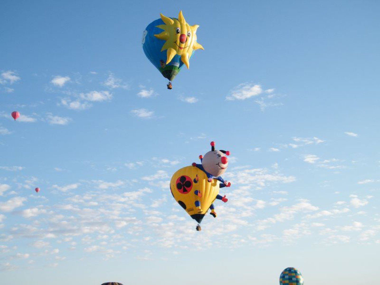 Arizona Balloon Safaris